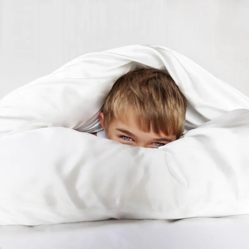 Silk Pillow Casings SILK LADY