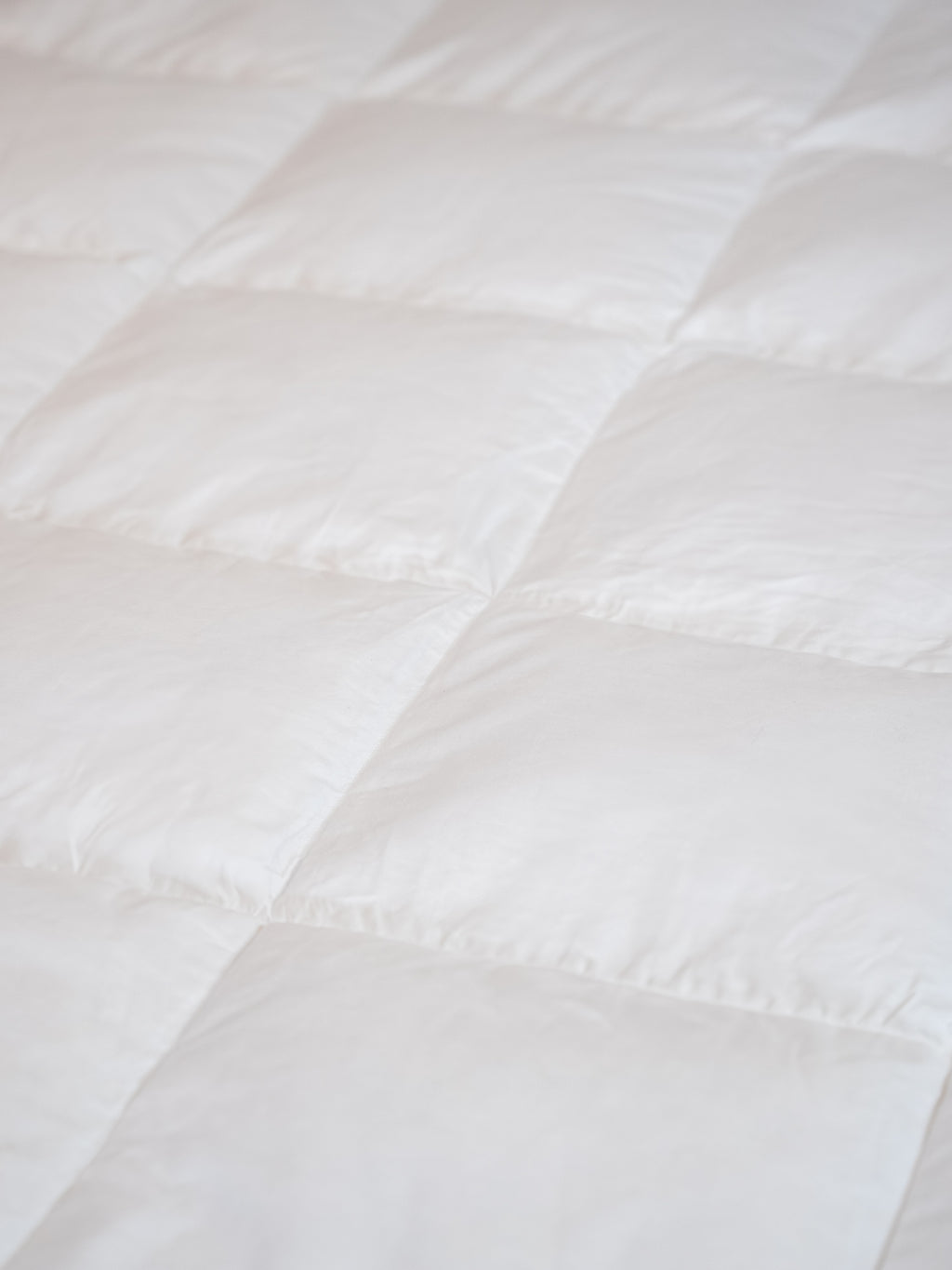 Premier Goose Down Duvet