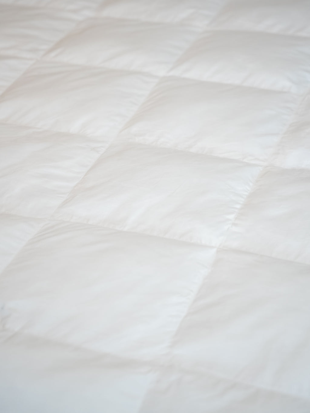 Premier Goose Down Duvet
