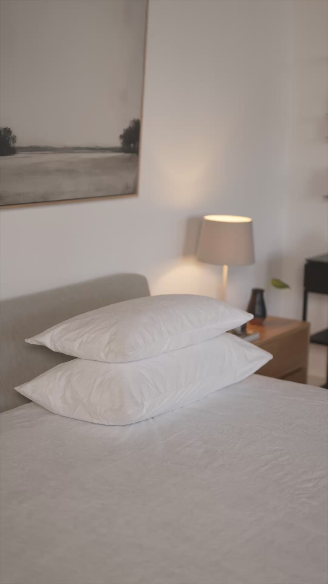 Premium Terry Pillow Protectors